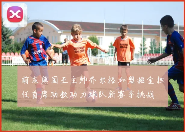 前灰熊国王主帅乔尔格加盟掘金担任首席助教助力球队新赛季挑战